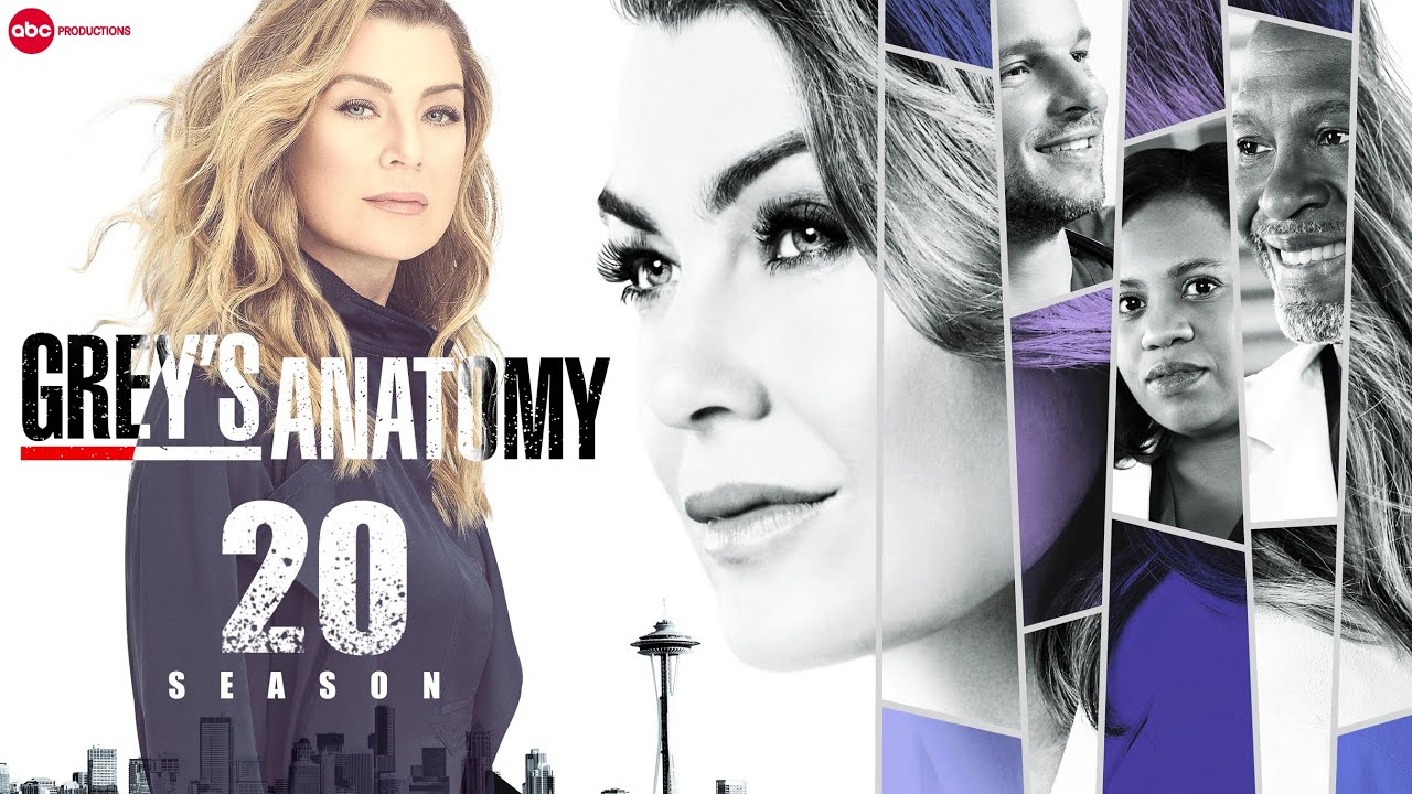 ‘Grey’s Anatomy’ Announces Season 20 Guest Stars Daily News