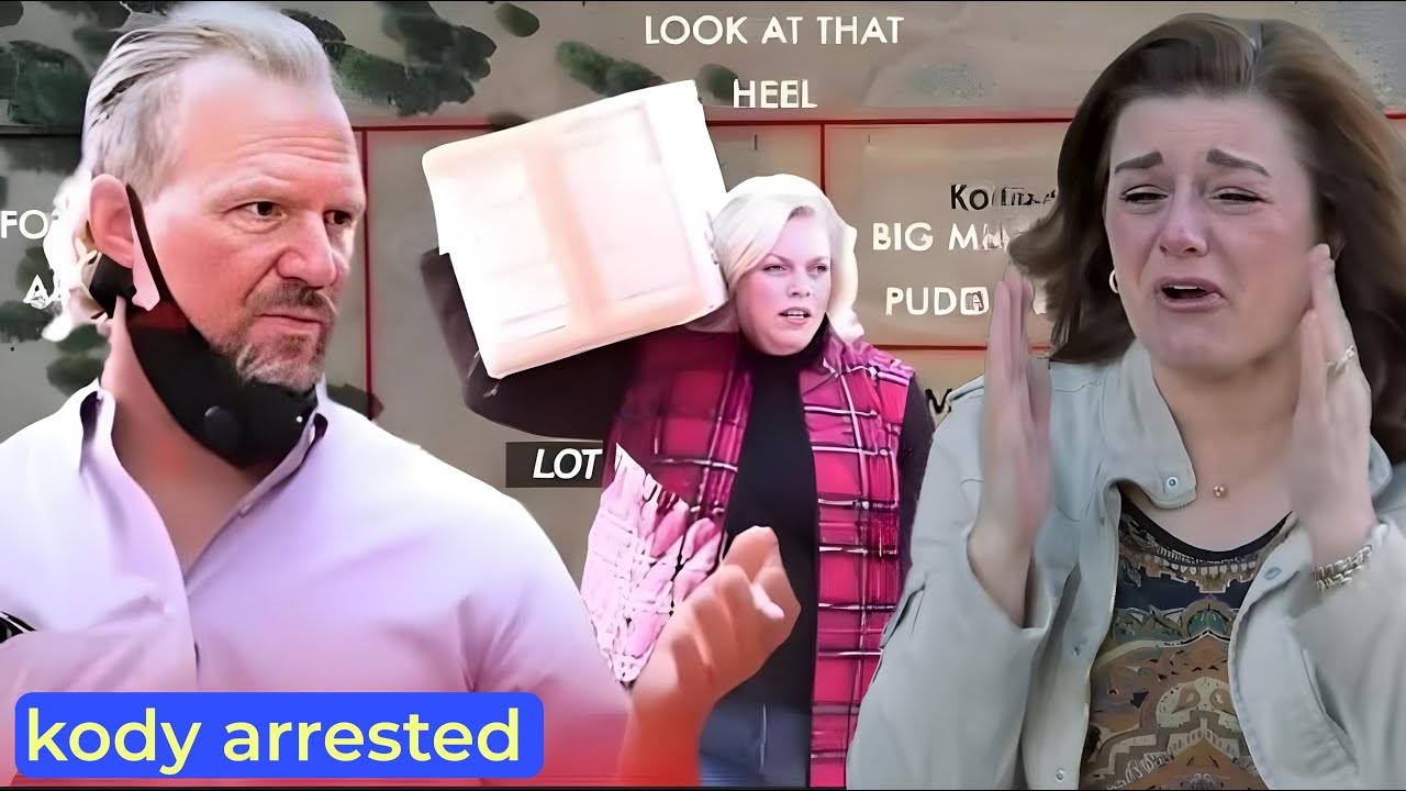 Kody Arrested Sister Wives Is Janelle Brown Suing Kody And Robyn